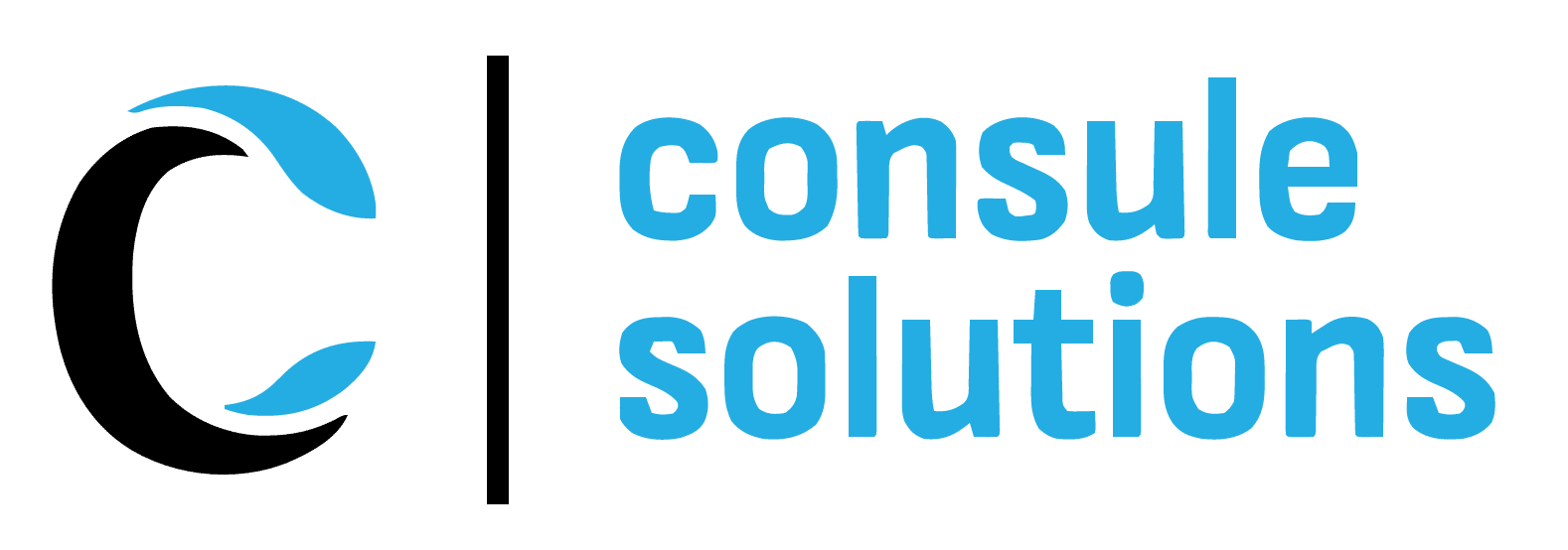 Consule Solutions
